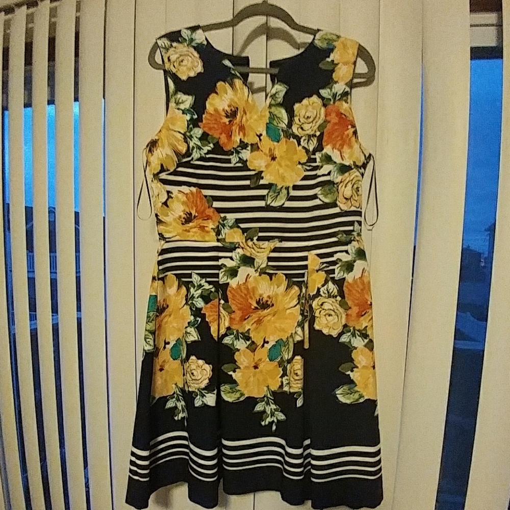 Dress Barn Short Navy Dress